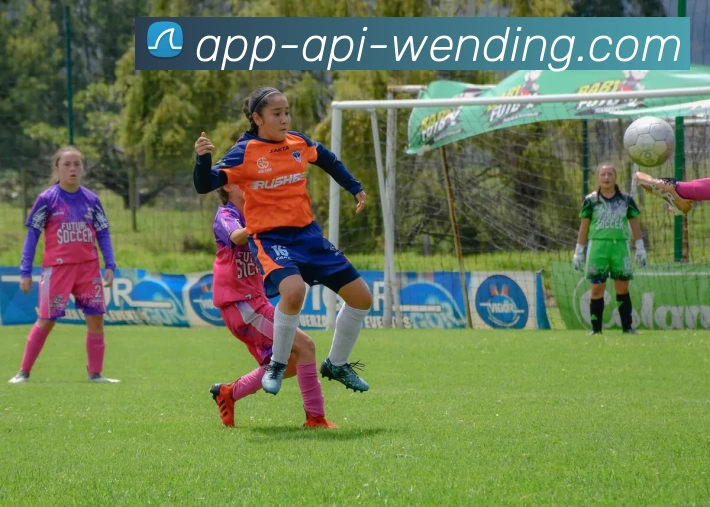 问鼎娱乐官网平台生态图