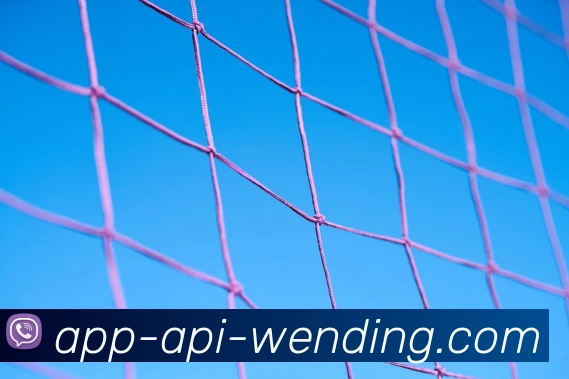 问鼎娱乐官网APP 封面图